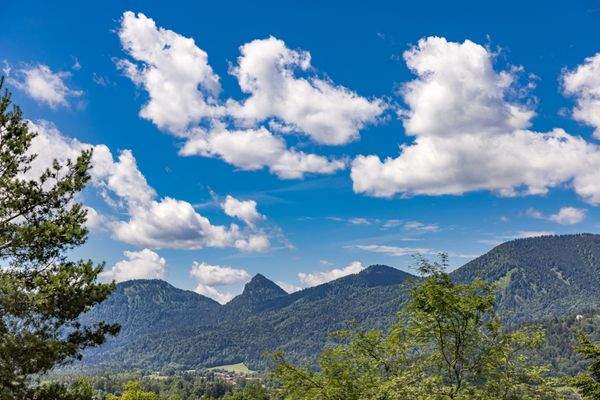 Blick