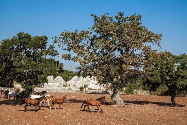 Trulli aus dem 17. Jahrhundert mit Pool