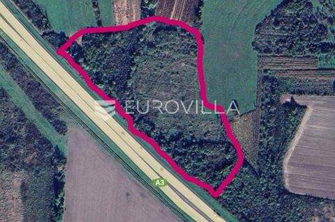 Gornji Bogicevci Bauernhöfe, Landwirtschaft, Gornji Bogicevci Forstwirtschaft