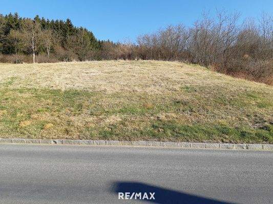 Straßenansicht frontal