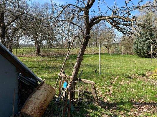 separates Gartengrundstück (2)