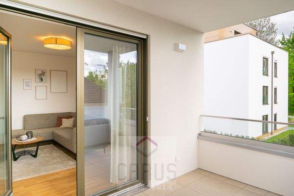 DSC_1409-Enhanced-NR-2