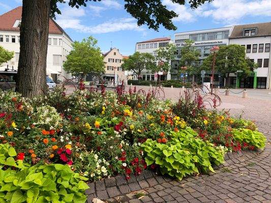 Blick vom Marktplatz auf das Büro- Geschäftshaus