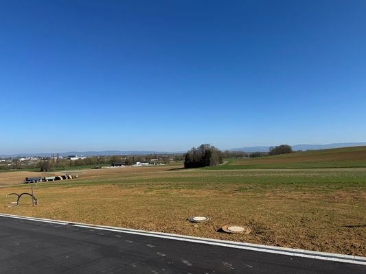 Blick in die Grundstücke