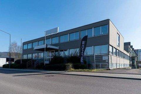 Trier Halle, Trier Hallenfläche