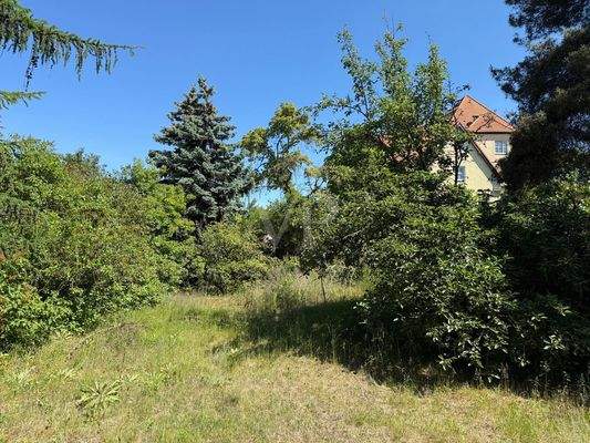 traumhaftes Grundstück