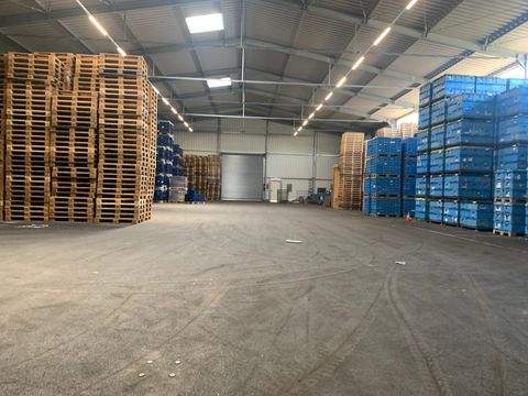 Langenzenn Halle, Langenzenn Hallenfläche