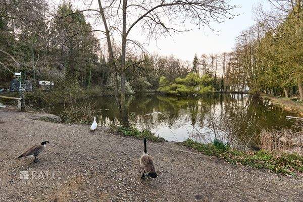Genießen Sie den Sonnenuntergang