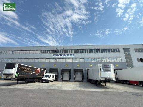 Maria-Lanzendorf Büros, Büroräume, Büroflächen 