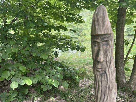 Zaun an der Gemeinschaftsfläch