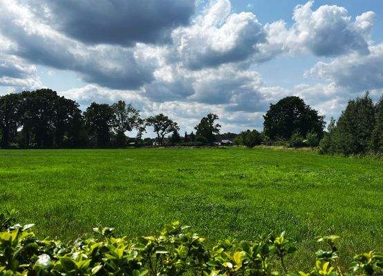 Der freie Blick ins Grüne