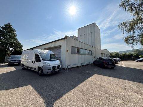 Ehingen Halle, Ehingen Hallenfläche