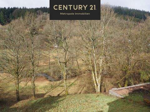 Oberzent-Finkenbach Grundstücke, Oberzent-Finkenbach Grundstück kaufen