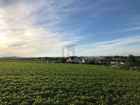 Neumarkt im Hausruckkreis Grundstücke, Neumarkt im Hausruckkreis Grundstück kaufen