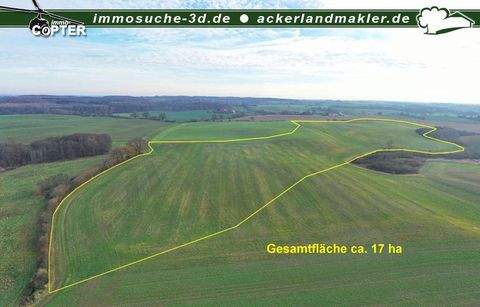 Vitense Bauernhöfe, Landwirtschaft, Vitense Forstwirtschaft