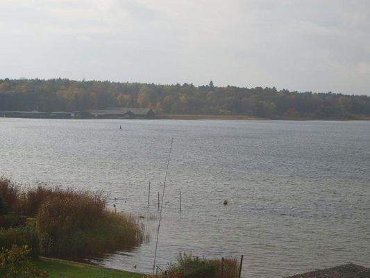 Seitlicher Müritzblick