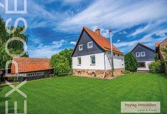 Expo_Mollenfelde_20260601_03