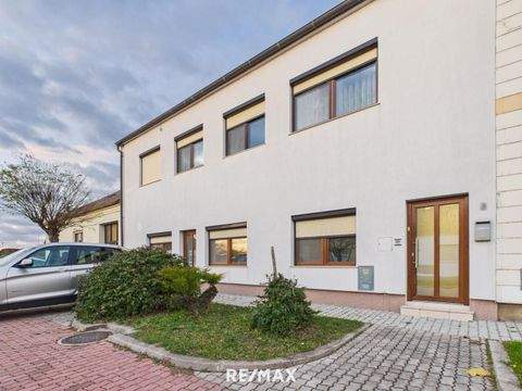 Rohrau Häuser, Rohrau Haus kaufen