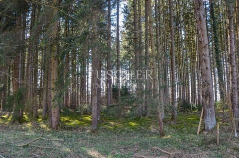 Hohenlinden Grundstücke, Hohenlinden Grundstück kaufen