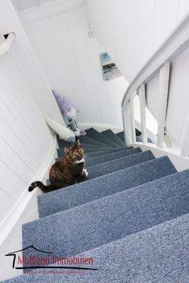 Treppe ins OG (auch ohne Katze)