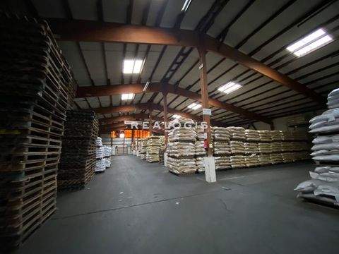 Hamburg Halle, Hamburg Hallenfläche