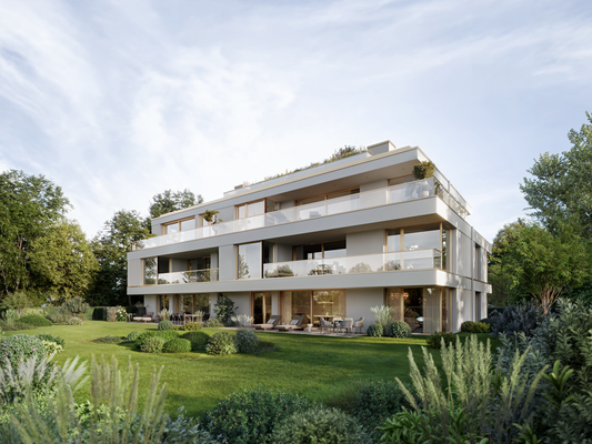 EDITION SB25 | VISUALISIERUNG ILLUSTRATOR