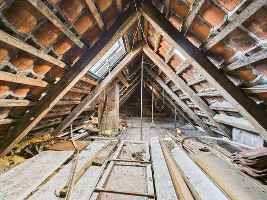 CAM03642G0-PR0048-STILL023