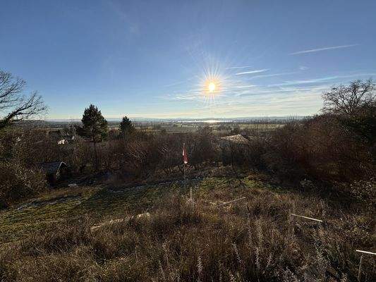 Blick vom Balkon in den Garten