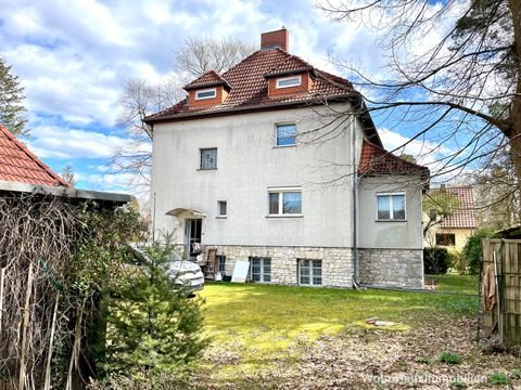 Bergholz-Rehbrücke Häuser, Bergholz-Rehbrücke Haus kaufen