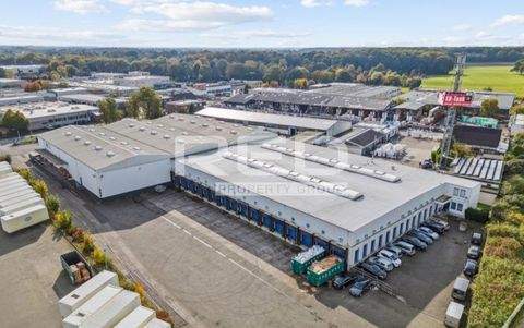 Mönchengladbach Halle, Mönchengladbach Hallenfläche