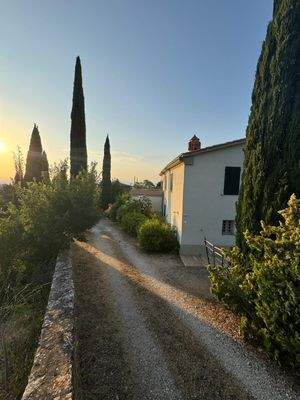 PHOTO-2025-08-14-15-51-35 3