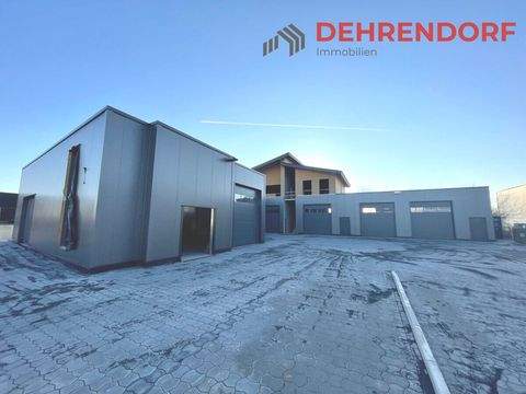 Detmold Halle, Detmold Hallenfläche