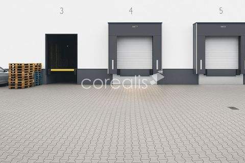 Düsseldorf Halle, Düsseldorf Hallenfläche