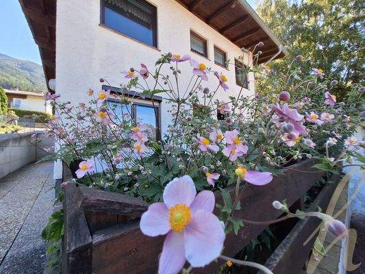 Petra Huber Immobilien TIROL