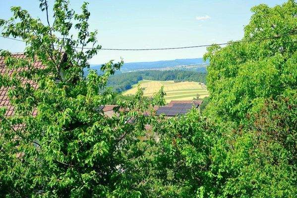 EG: Fernsicht nach Westen vom Balkon