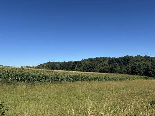 Aussicht über die Felder