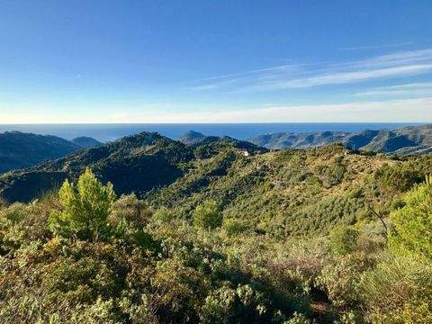 Perinaldo Grundstücke, Perinaldo Grundstück kaufen