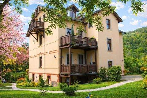 Sachsen - Radebeul Wohnungen, Sachsen - Radebeul Wohnung kaufen