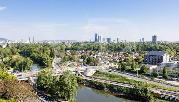 Bild 15