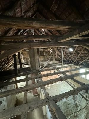 5 Dach entkernt (6)