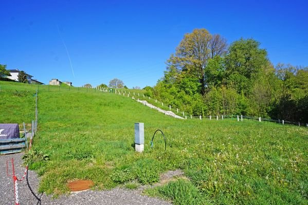 gesamtes Grundstück von Süd nach Nordwest