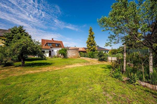 Ansicht Garten gesamt