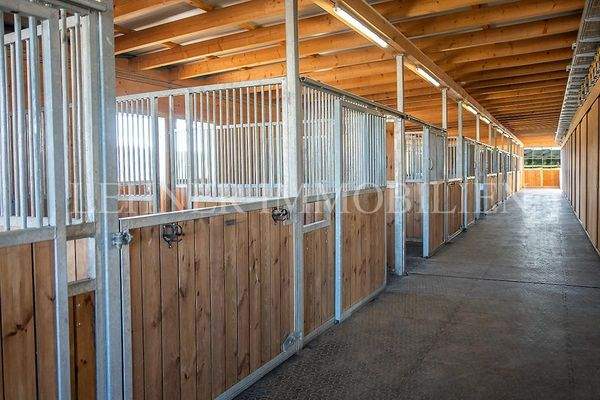 Lehner Immobilien Bild 90