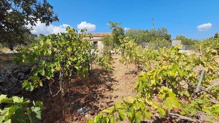 Kreta, Vamos: Geräumige Villa mit Meer- und Bergblick auf weitläufigem Grundstück