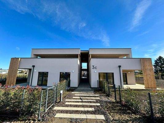 Haus D Penthouse.jpeg