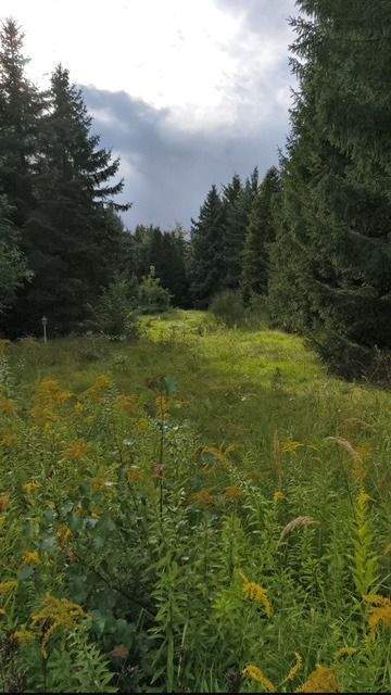Teltow Grundstücke, Teltow Grundstück kaufen