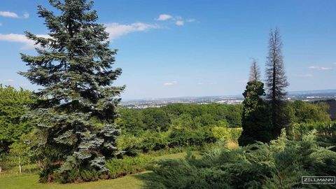 Perchtoldsdorf Grundstücke, Perchtoldsdorf Grundstück kaufen