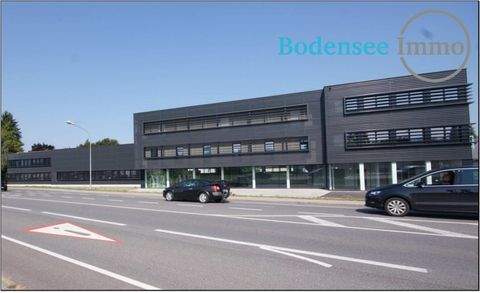 Hard Halle, Hard Hallenfläche