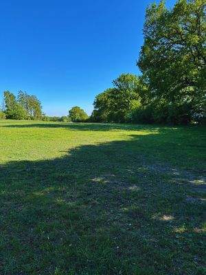 Freier Blick ins Grüne