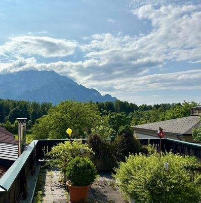 WhatsApp Image 2025-08-19 at 07.05.39 (5)